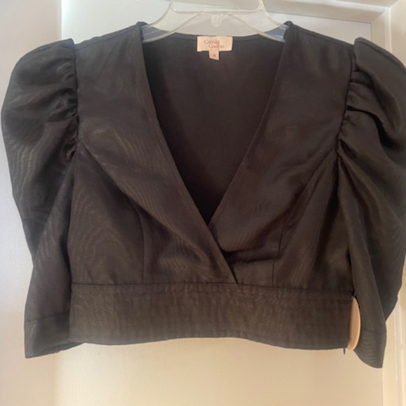 NWT Camila Coelho Micaela Deep V Crop Top - Picture 5 of 13